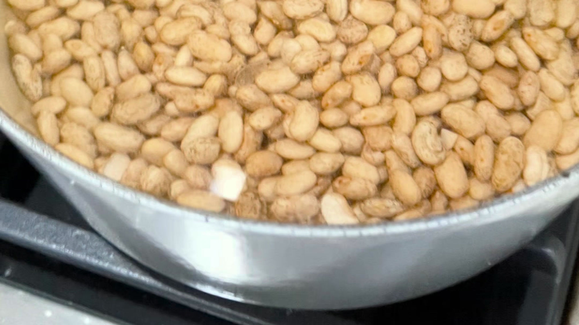 Can You Grow Grocery Bought Pinto Beans?